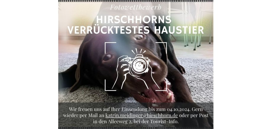 Fotowettbewerb_Haustier - 1